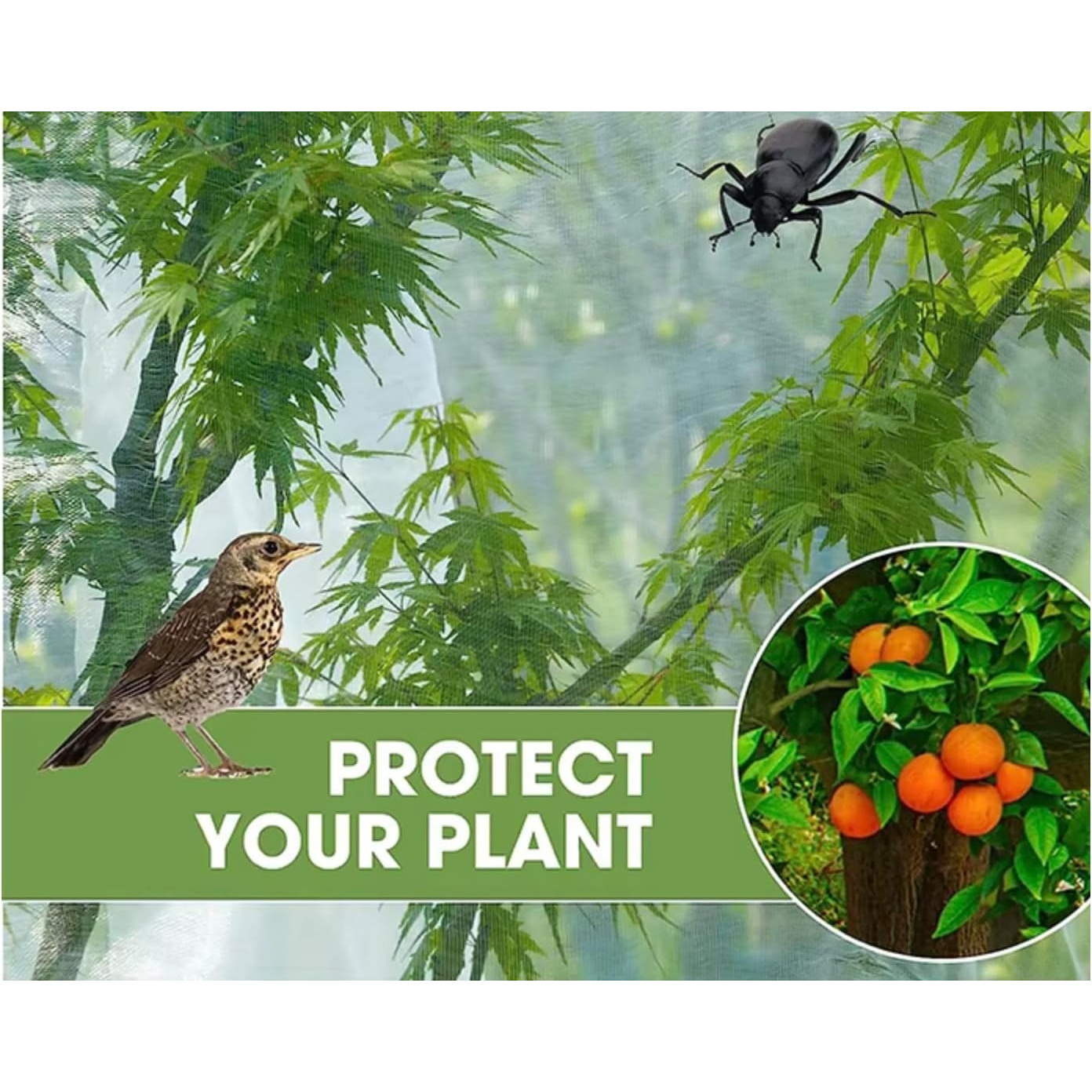 30pcs Blueberry Bush Bird Netting, Multiple Sizes Available - Tomato Plant Net, Insect-Proof Plant Cover