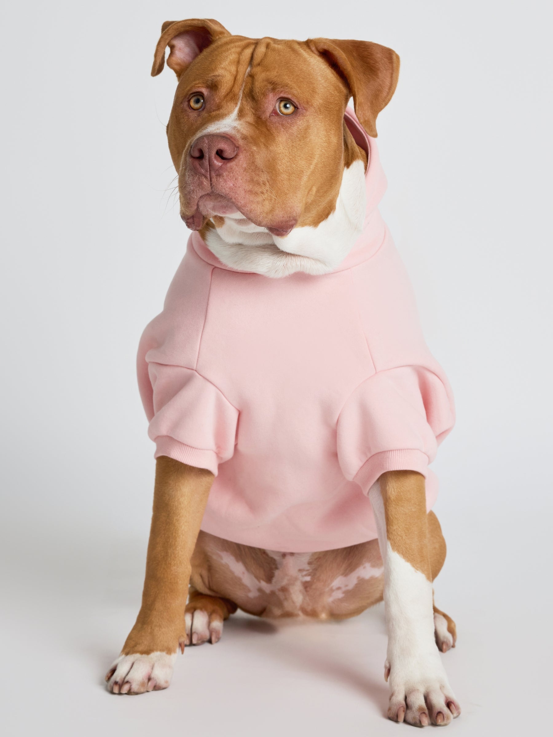 Pastel Paw Hoodie