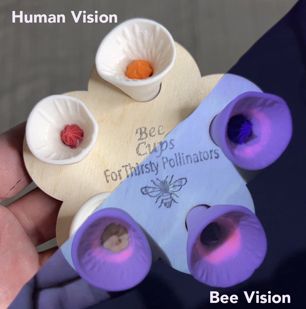 Bee Insect Drinking Cup- UV Resistant Windproof