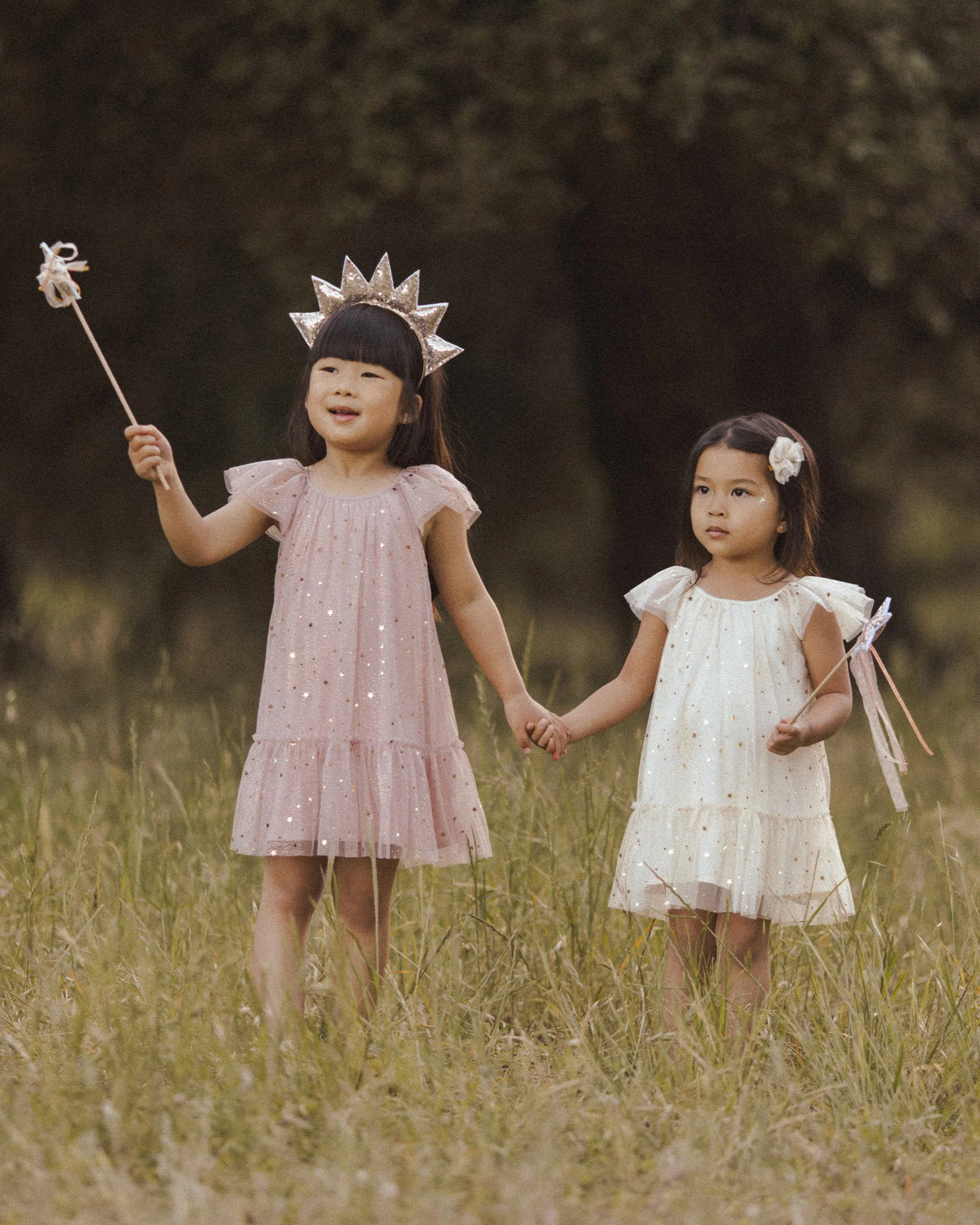 Edie Dress || Champagne Stars