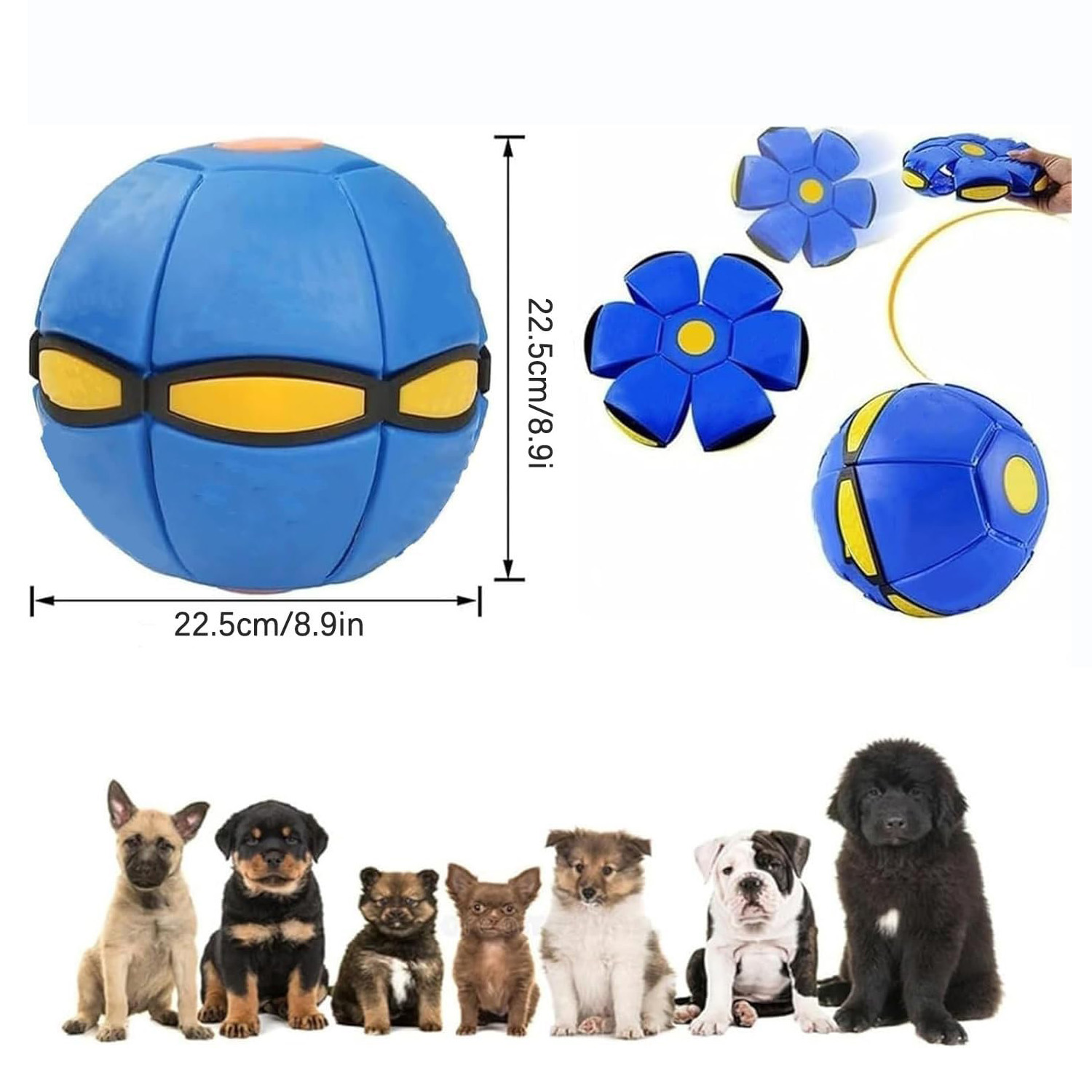 The Doggy Disc Ball
