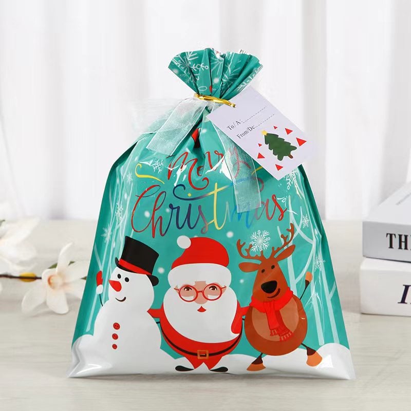 🎄 Christmas Gift Bags (Biodegradable)