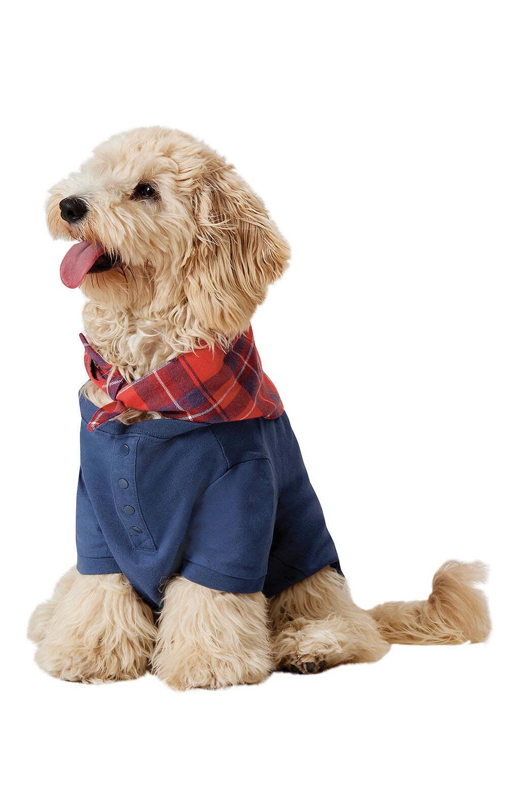 Americana Plaid Matching Family Pajamas