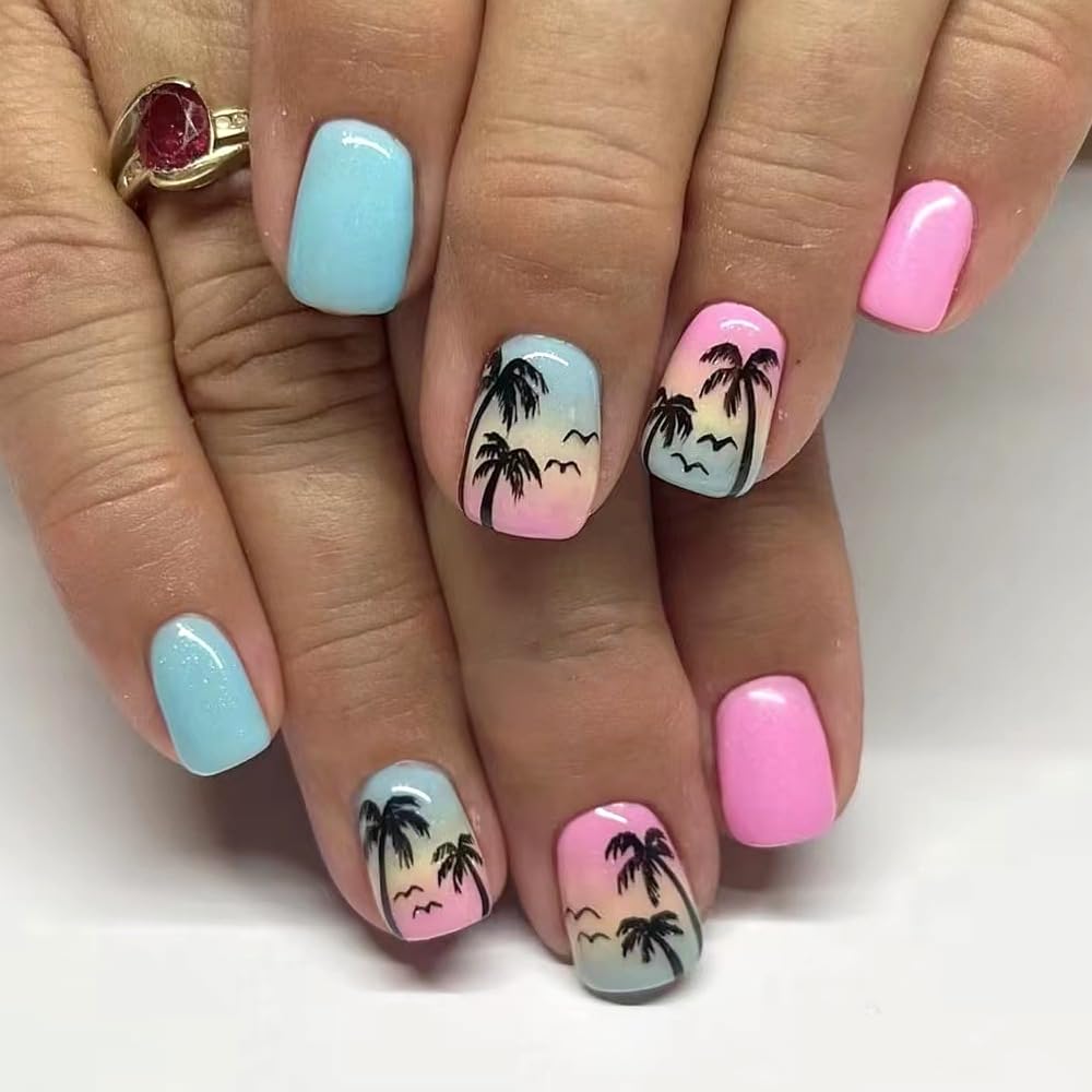 Tropical Sunset – S Squoval