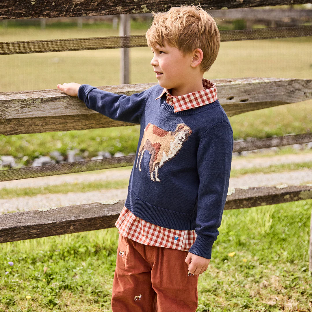 Boys Oliver Sweater Happy Dog