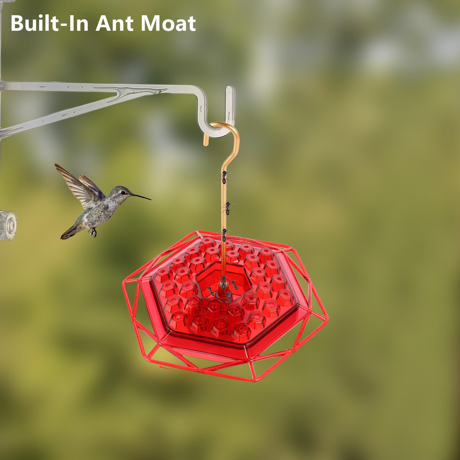 Hummingbird Haven Feeder