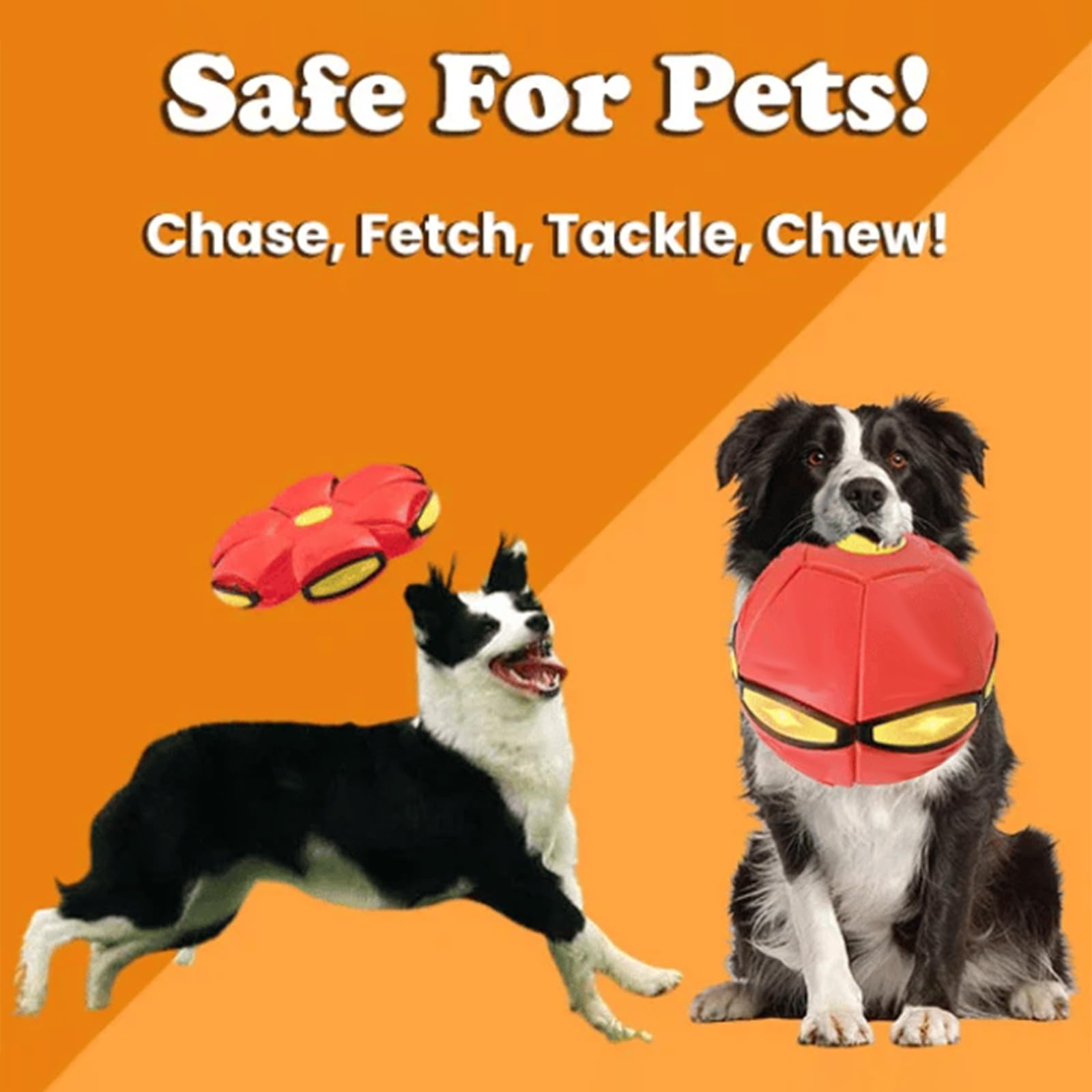The Doggy Disc Ball