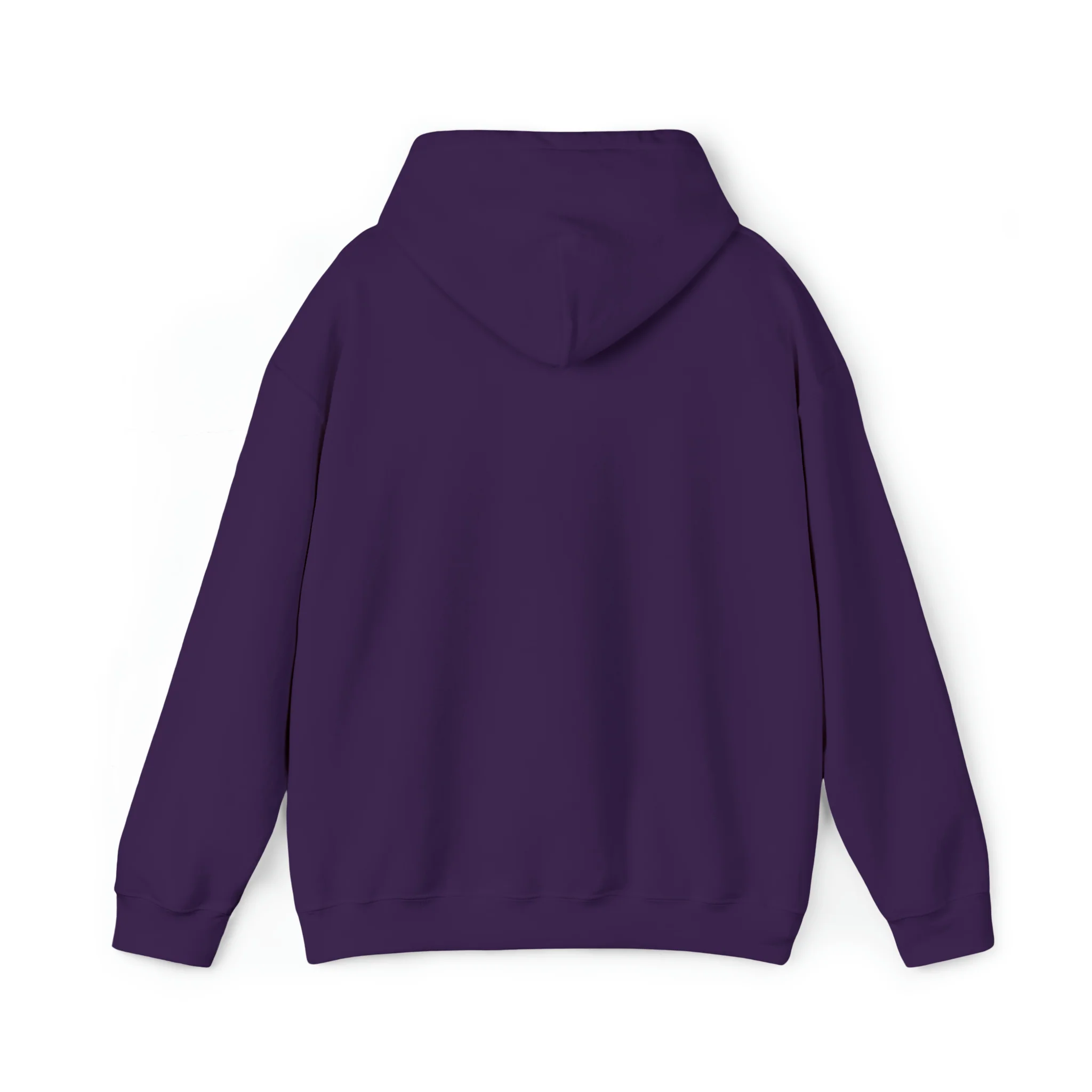 Iowa Light Unisex Heavy Blend? Hooded Sweatshirt