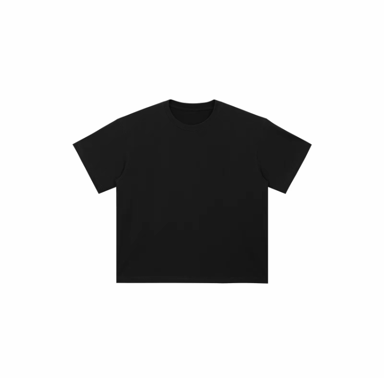 300 GSM Heavyweight White Core Tee V2 – Premium Cotton Essential T-Shirt