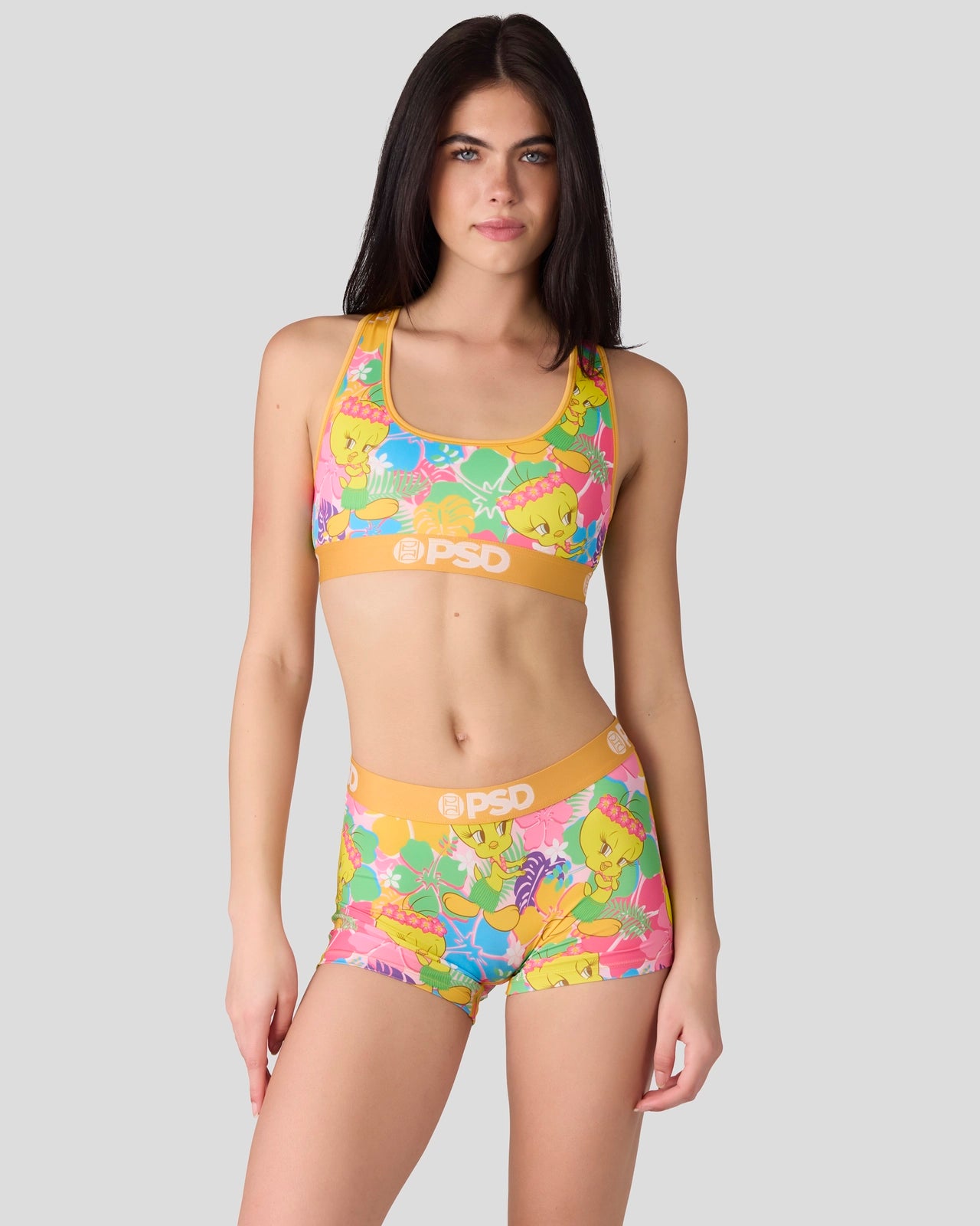 Looney Tunes - Tweety Hawaii