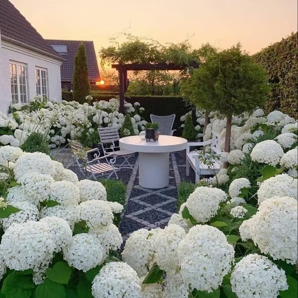 3-Pack Lifelike Hydrangea Silk Flowers  UV-Resistant for Indoor/Outdoor Decor