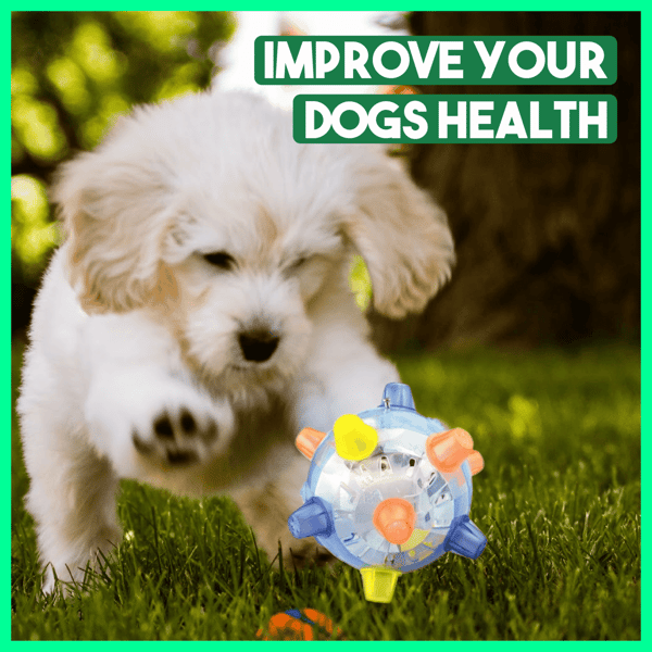 Jumping Activation Ball for Dogs2 Pcs/SetBlue+Pink
