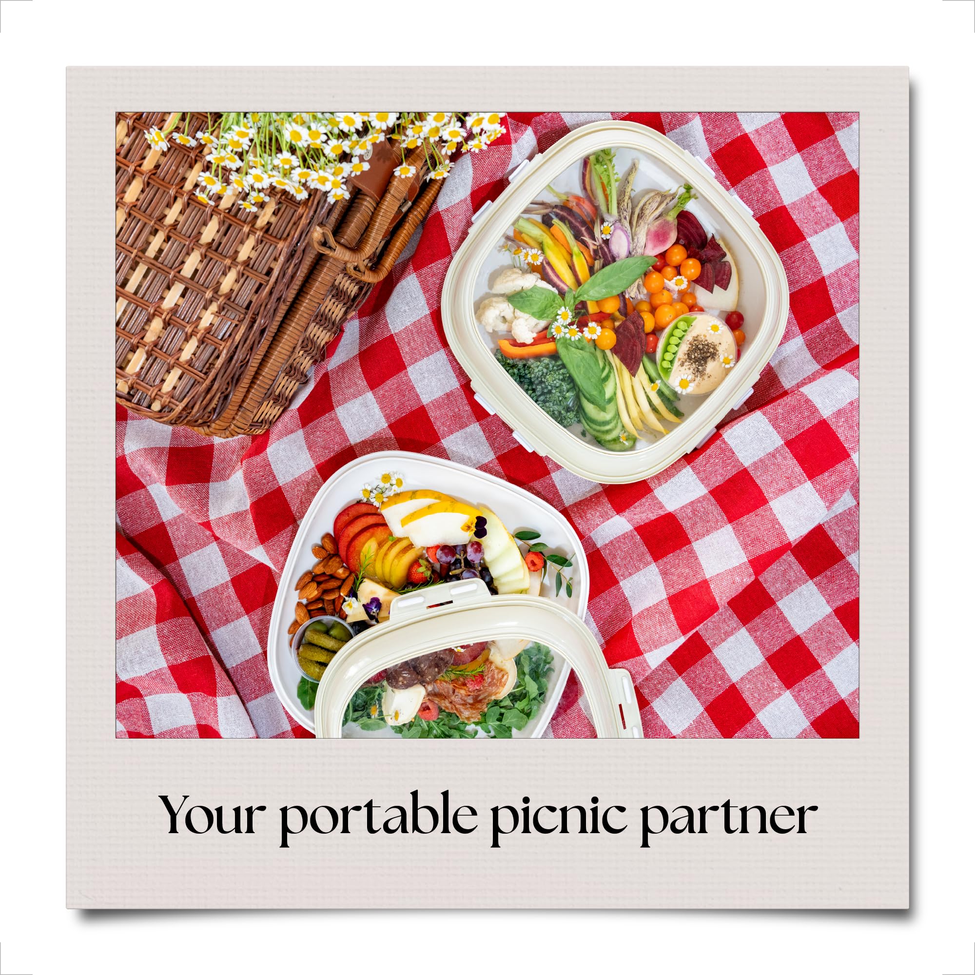 🎁Crudités | Portable Snack Tray | Square 8-Pack