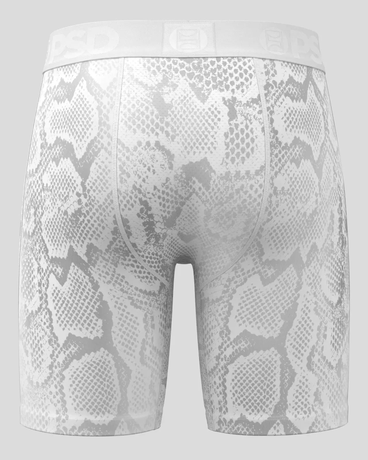 Silver Snake