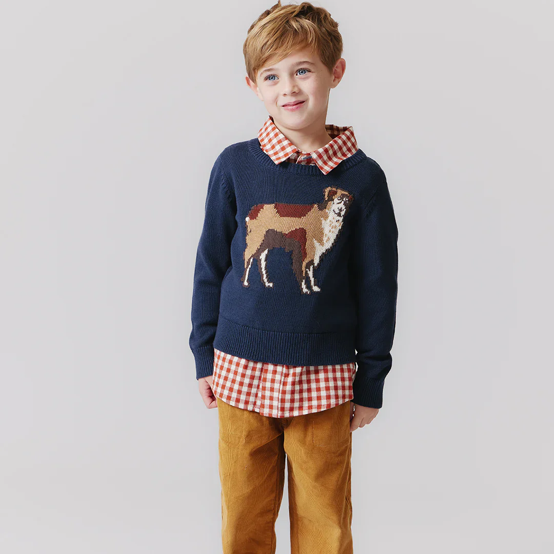 Boys Jack Shirt Pony Gingham