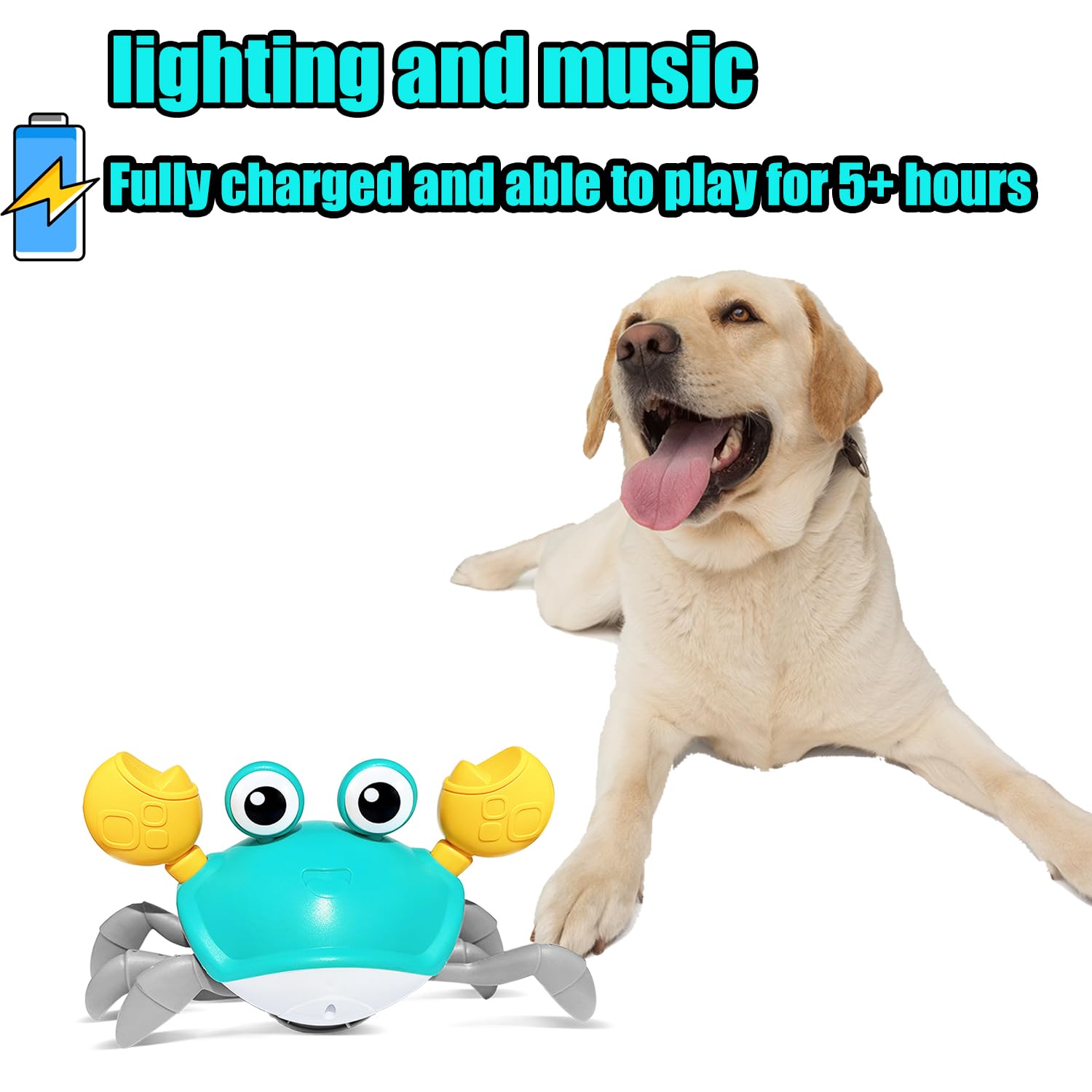 Crawling Crab - Interactive Toy for Pups