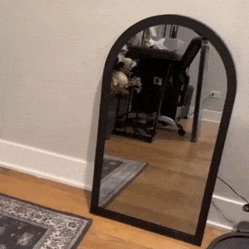 2026 Halloween Hologram Ghost Mirror