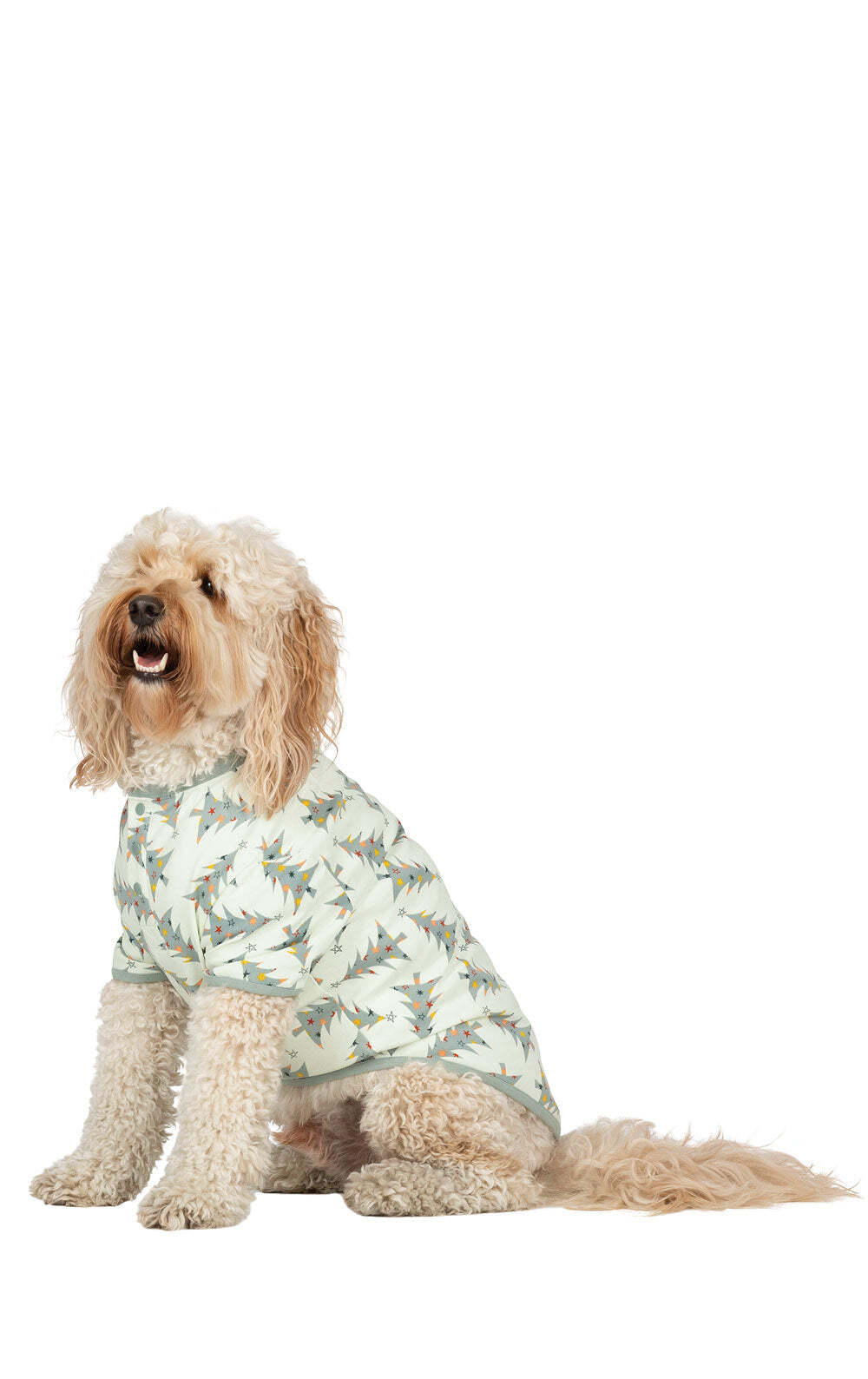 Balsam & Pine Matching Family Pajamas