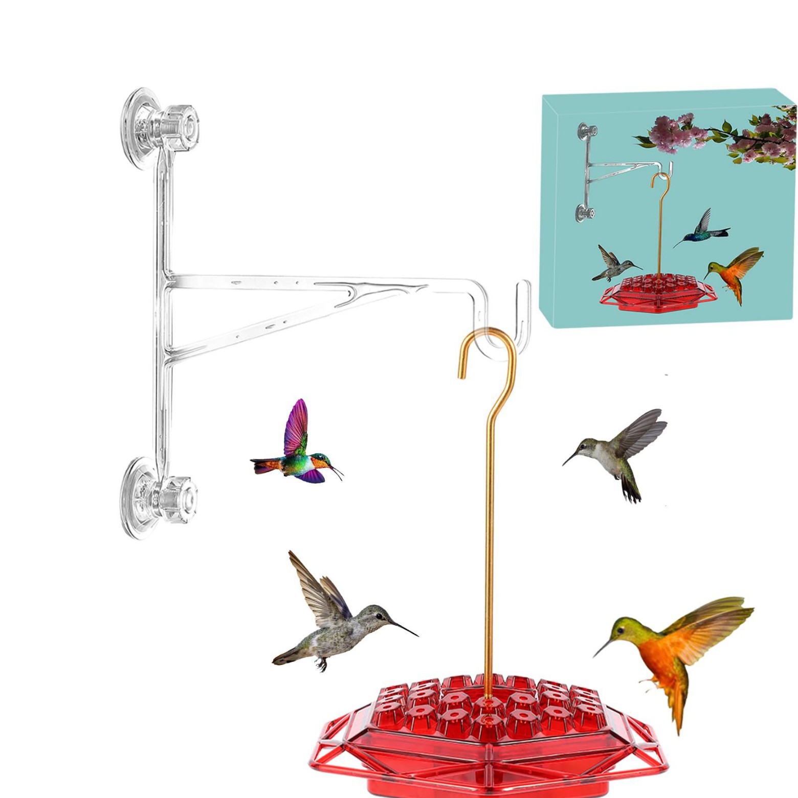 Hummingbird Haven Feeder