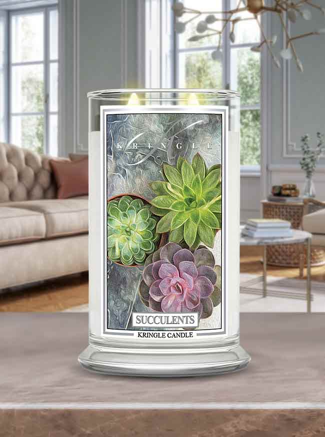 Succulents Large Jar | Soy Candle