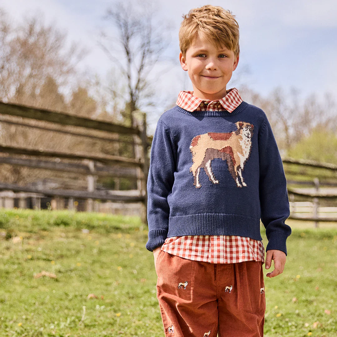 Boys Oliver Sweater Happy Dog