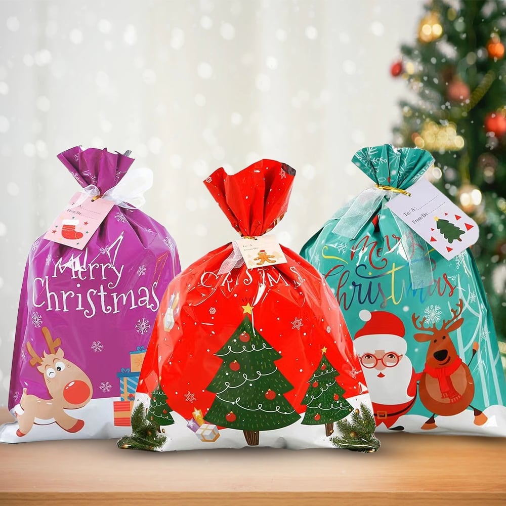 🎄 Christmas Gift Bags (Biodegradable)