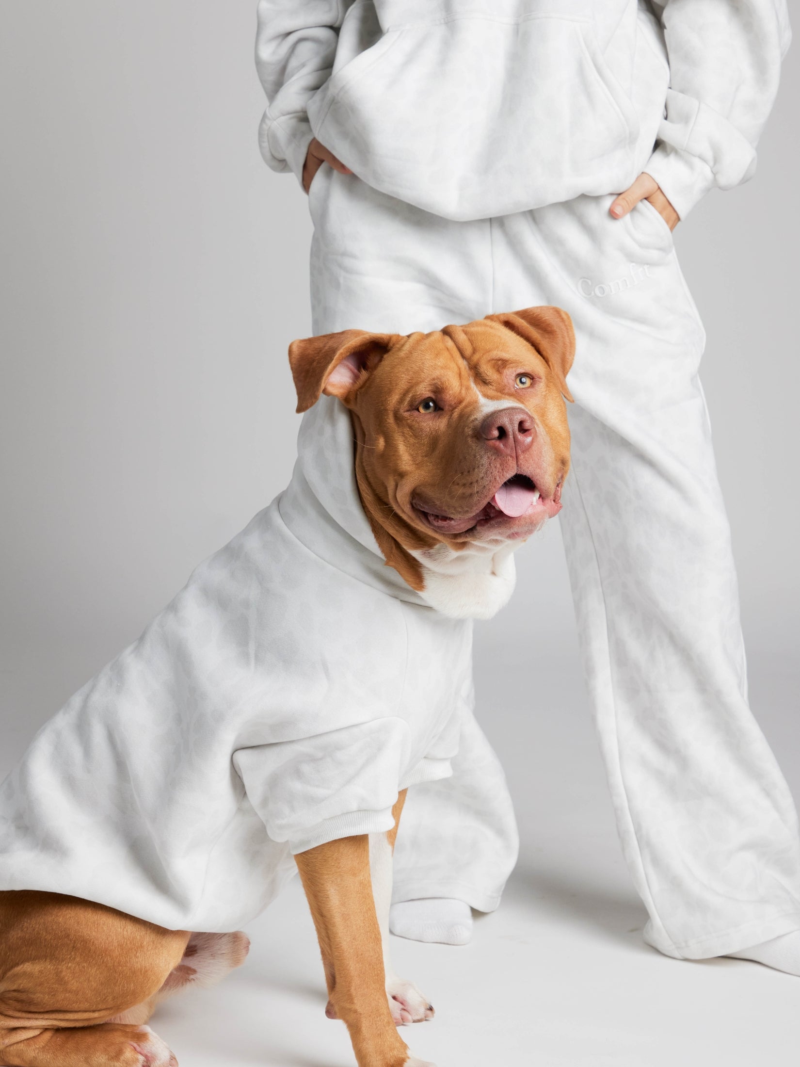 Minimalist Paw Hoodie