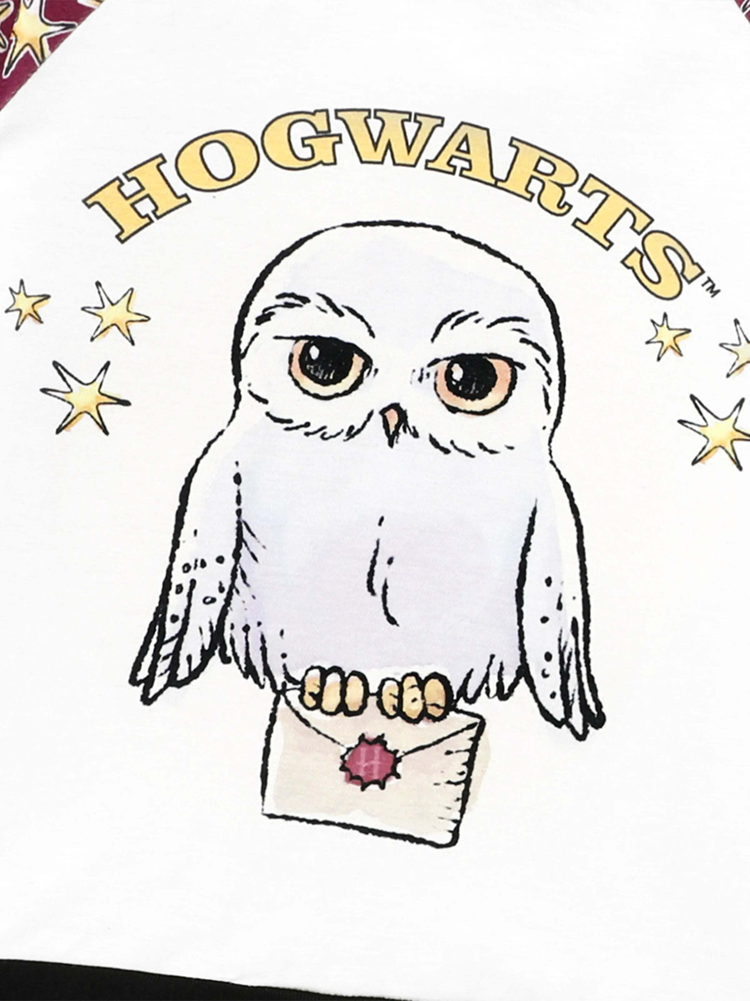 Christmas Family Matching Hedwig Print Pajamas Sets with Christmas Socks