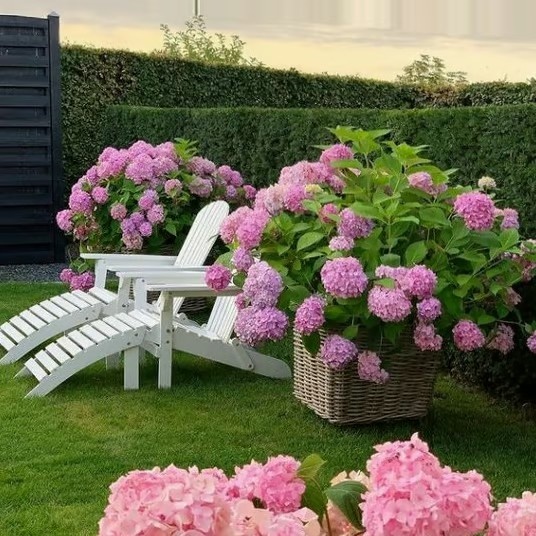 3-Pack Lifelike Hydrangea Silk Flowers  UV-Resistant for Indoor/Outdoor Decor