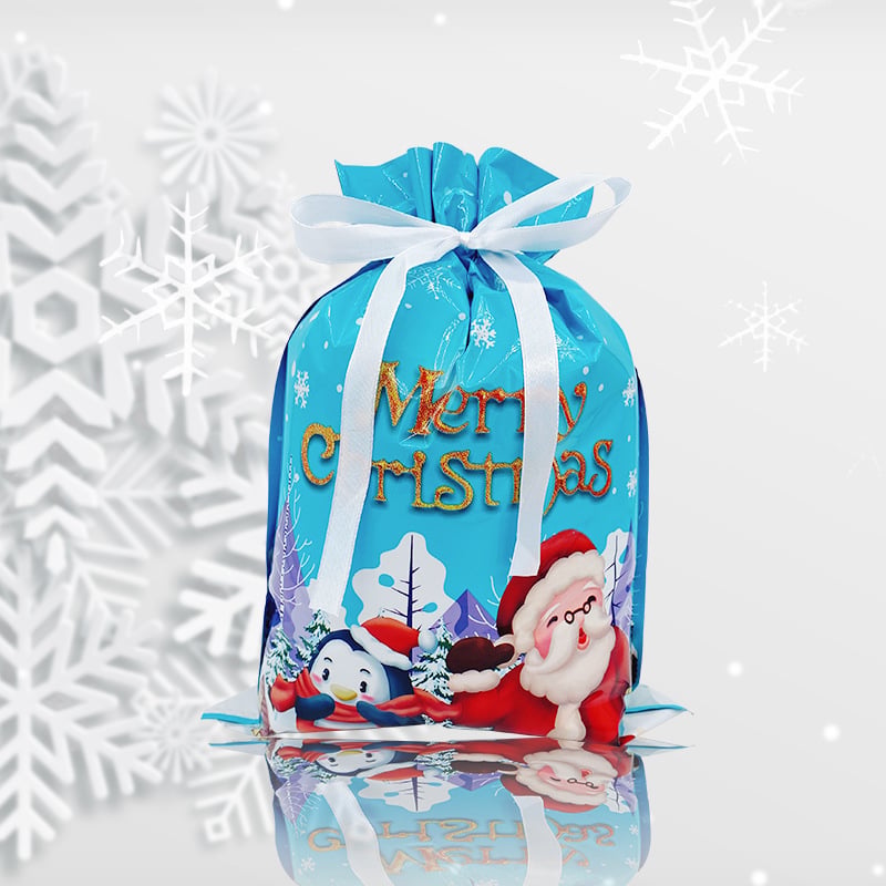 🎄 Christmas Gift Bags (Biodegradable)