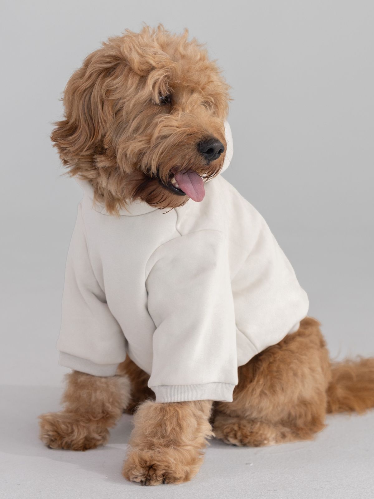 Tranquil Paw Hoodie