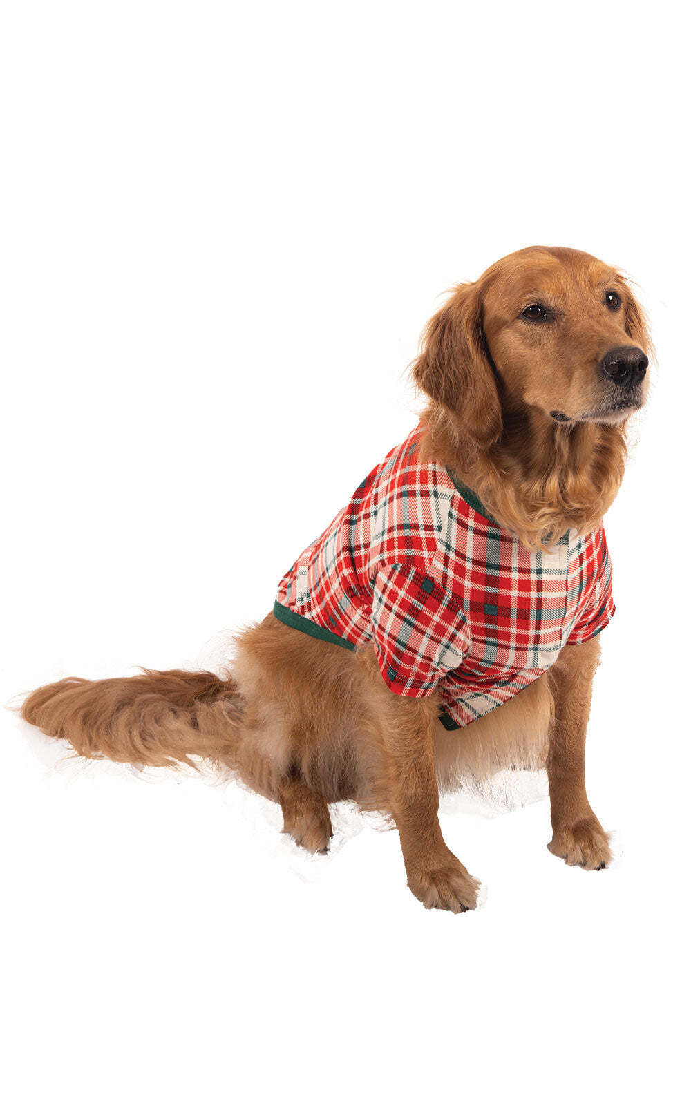 Modern Plaid Matching Family Set - Evergreen