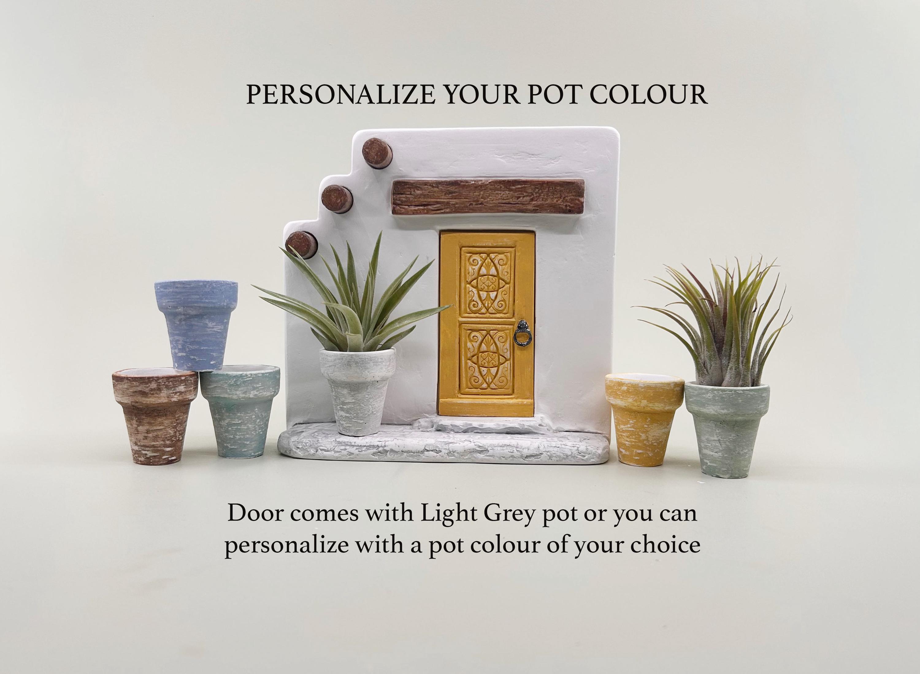 Handmade Air Plant Display: Miniature Door Home Decor Cement Planter