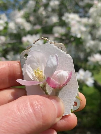 2026 Micro Flower Press