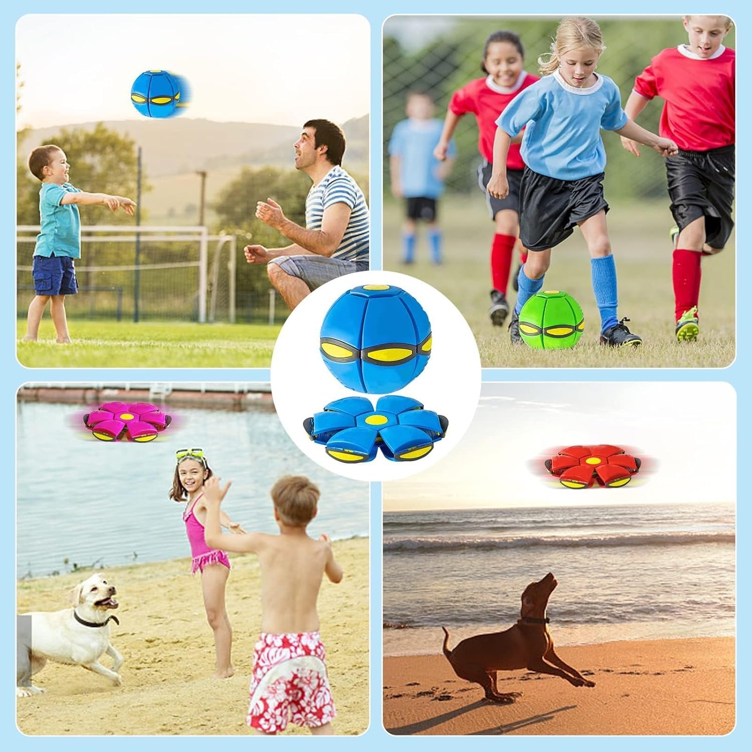 The Doggy Disc Ball