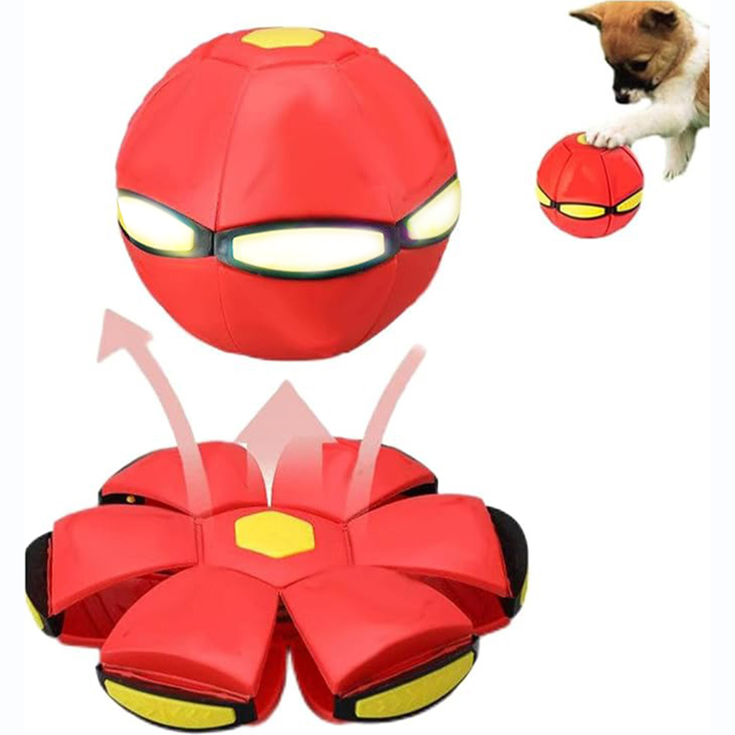The Doggy Disc Ball