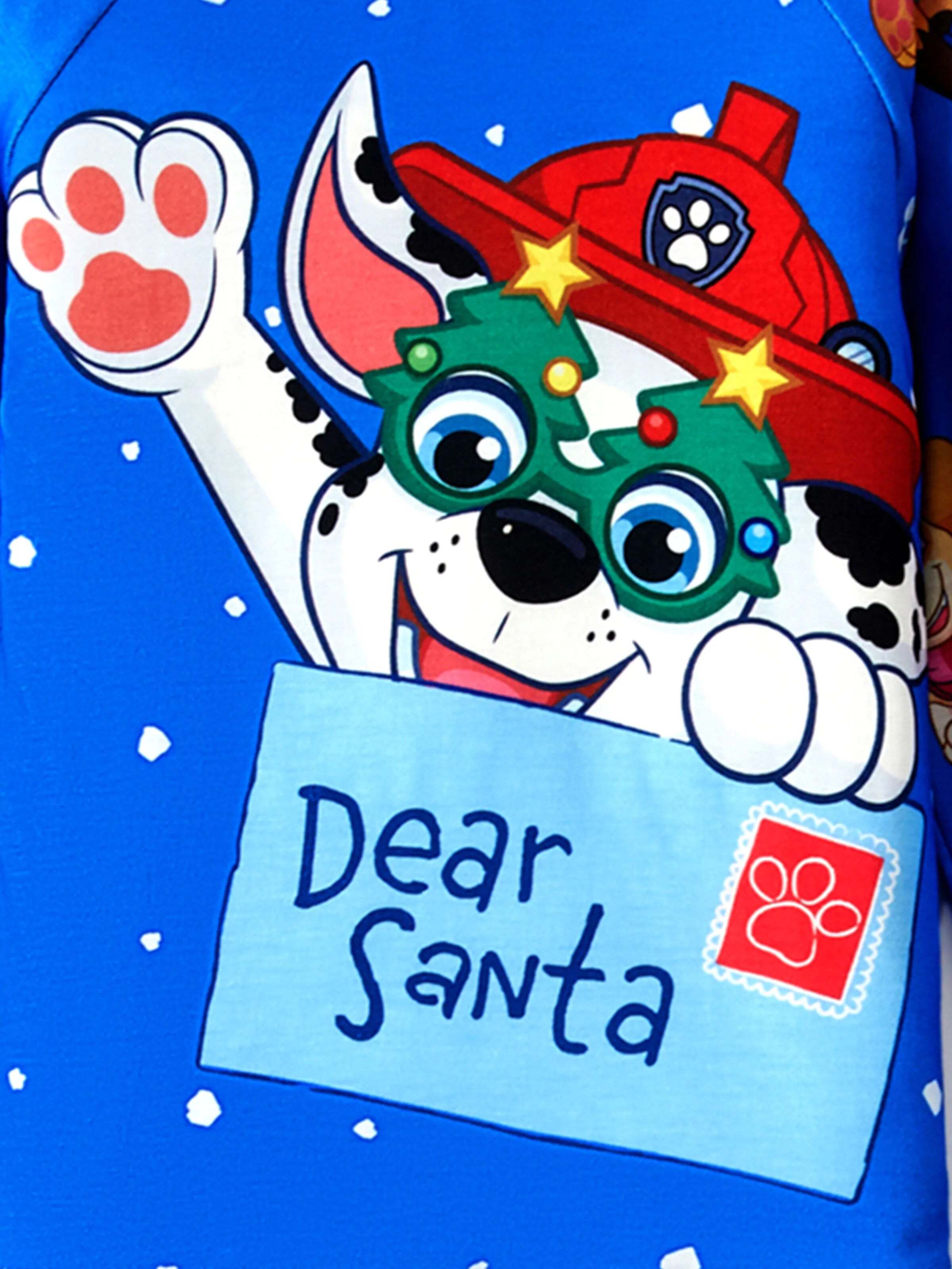 Christmas Family Matching Chase and Marshall Pajamas Sets with Christmas Socks