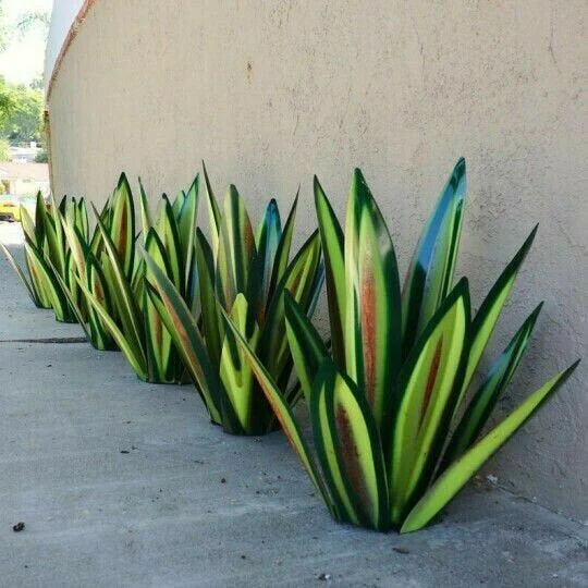 Anti rust Metal Tequila Agave Plant