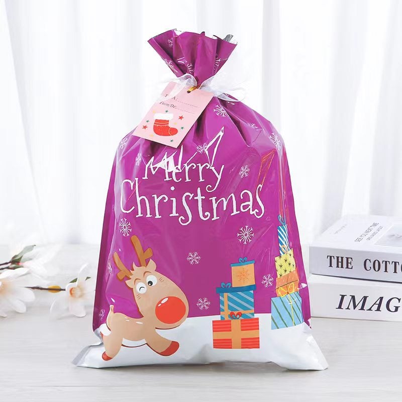🎄 Christmas Gift Bags (Biodegradable)