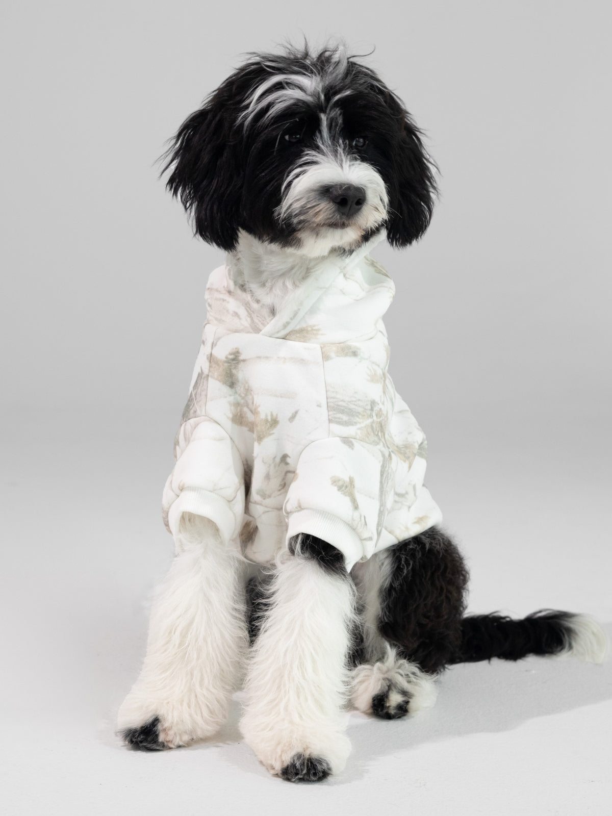 Camo Paw Hoodie