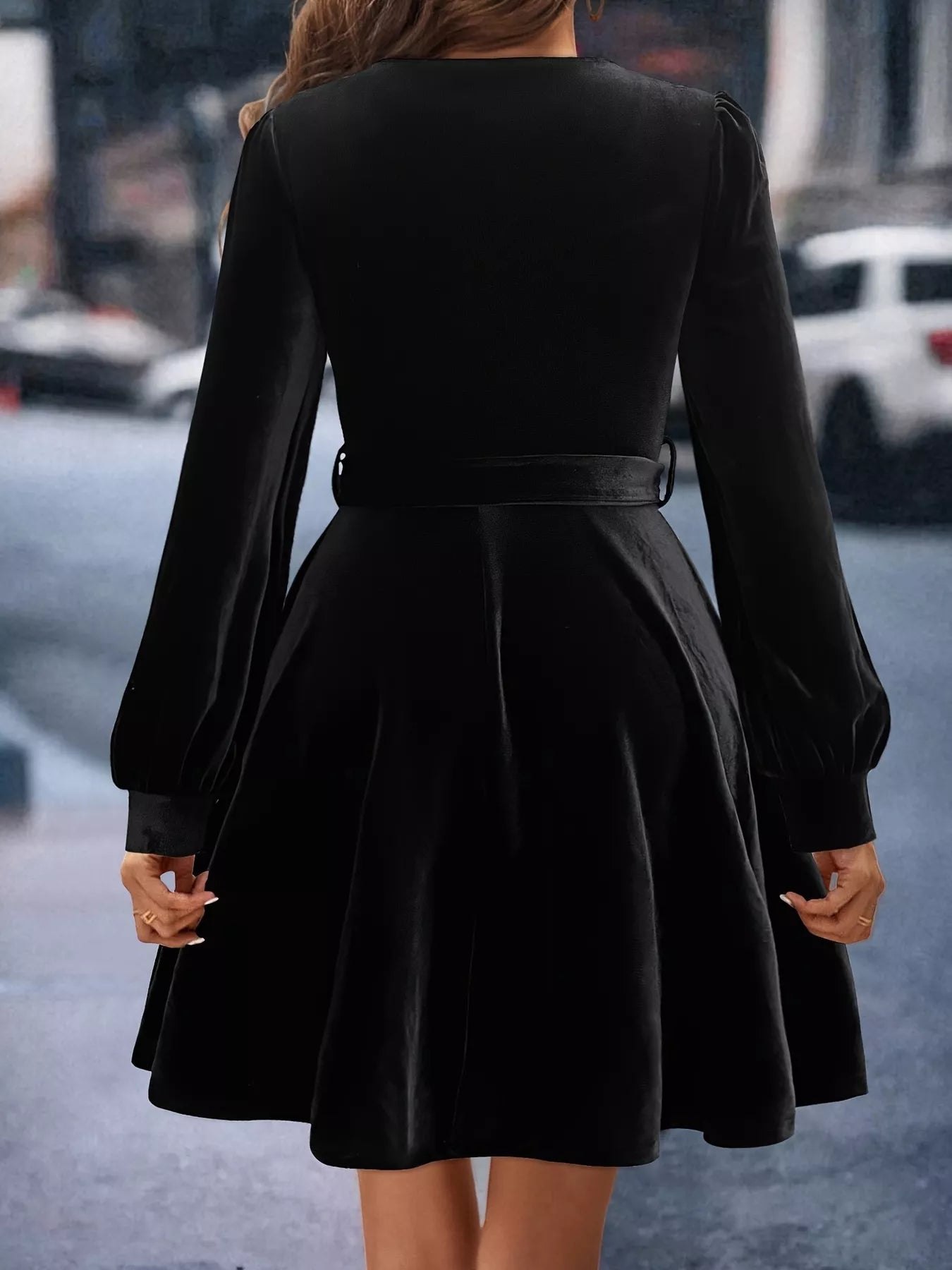 Velvet Long Sleeve A-Line Dress