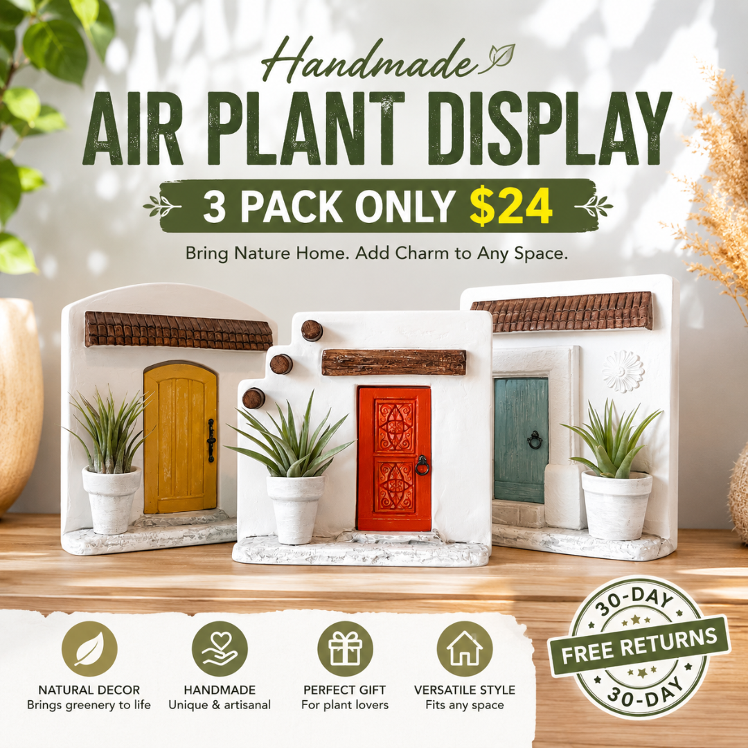 Handmade Air Plant Display: Miniature Door Home Decor Cement Planter