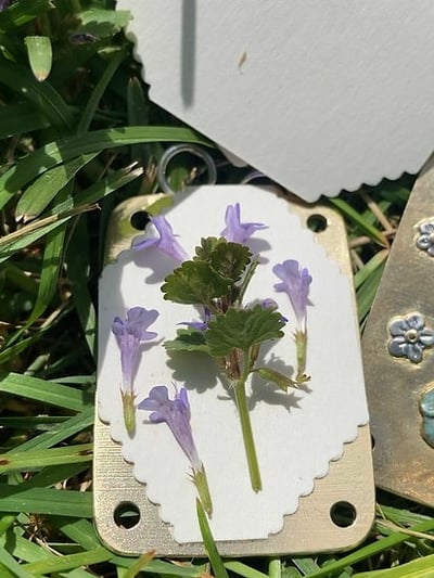 2026 Micro Flower Press