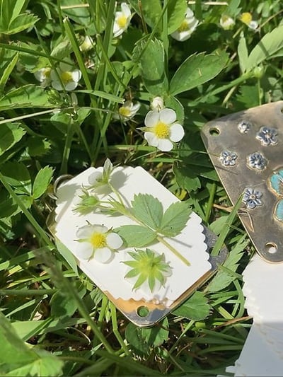 2026 Micro Flower Press
