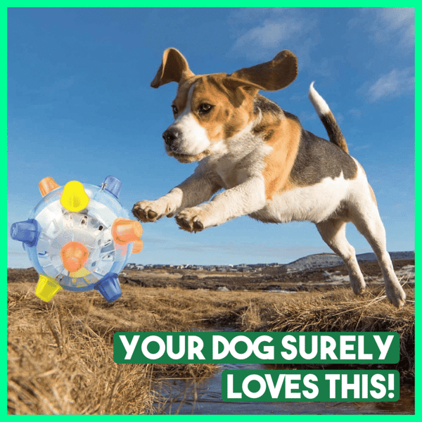 Jumping Activation Ball for Dogs2 Pcs/SetBlue+Pink