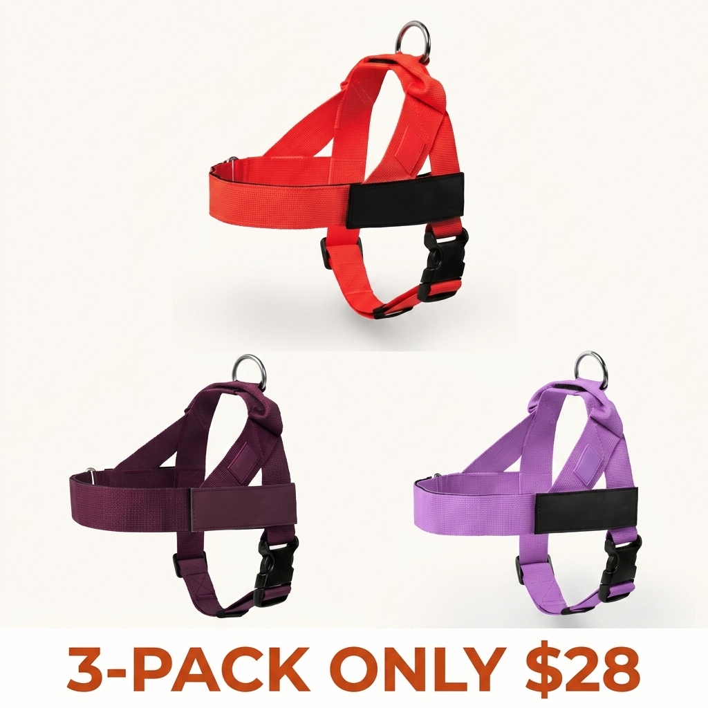 Dog Harness — Easy-to-wear, anti-pull design — Safe, secure, and comfortable — Adjustable straps