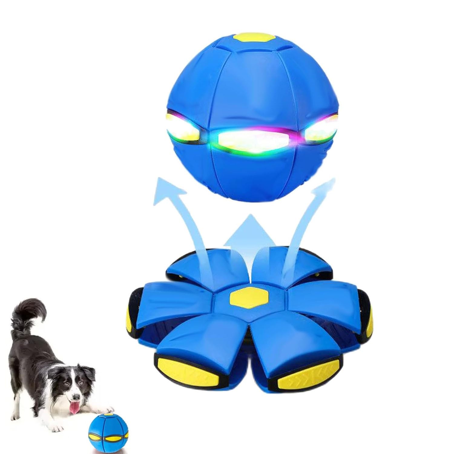 The Doggy Disc Ball