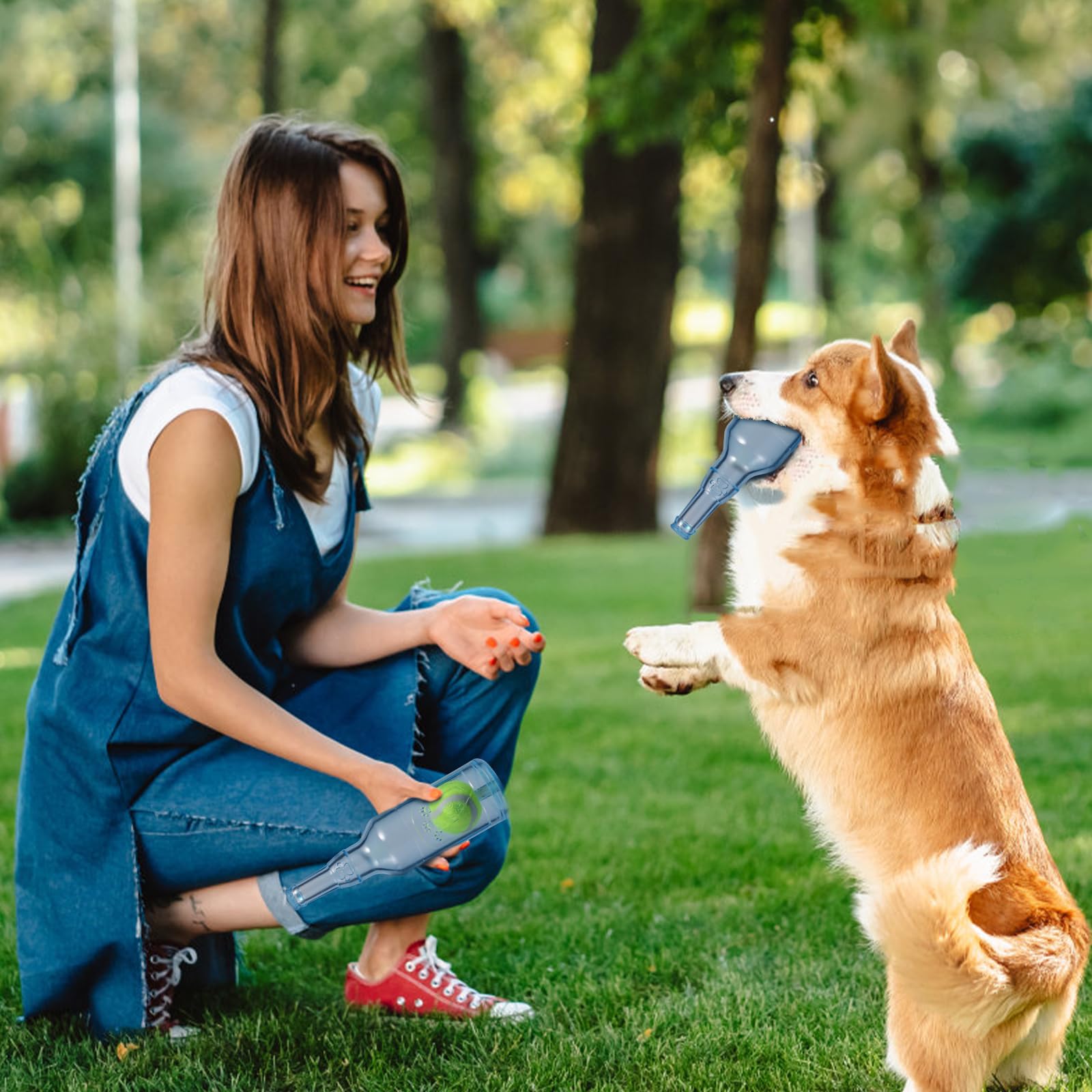 Bottle Chew Toys for Dogs