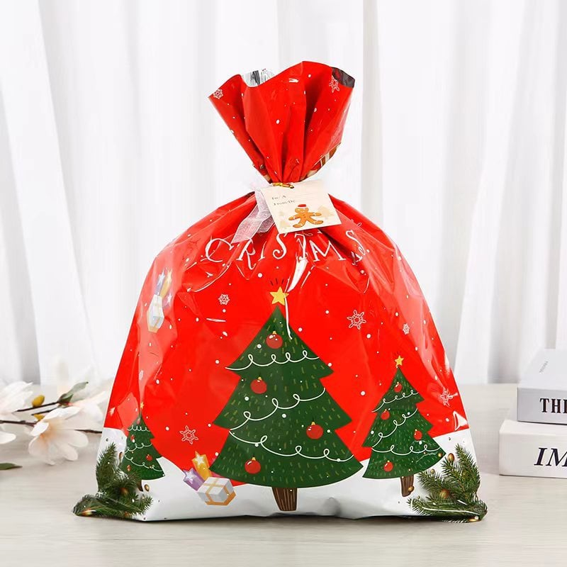 🎄 Christmas Gift Bags (Biodegradable)