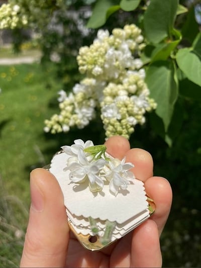 2026 Micro Flower Press